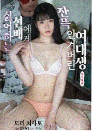 候鸟季纪录剧集封面